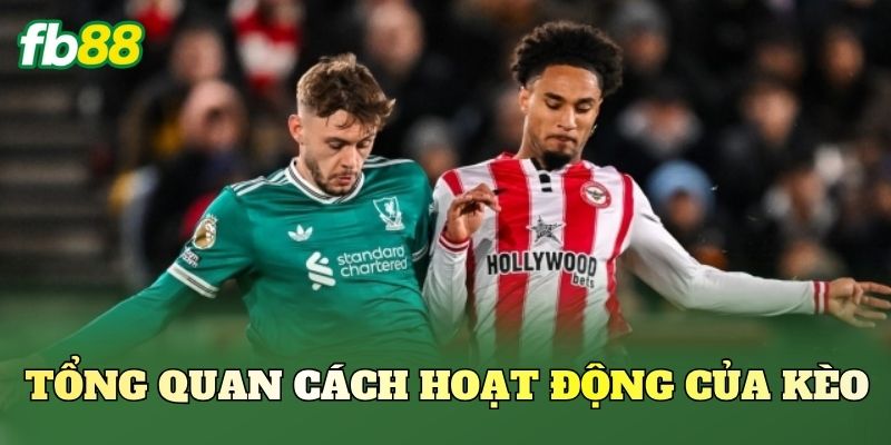 Tổng quan cách hoạt động của kèo