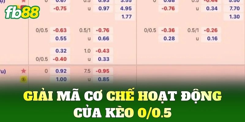 Kèo 0/0.5 Và Chiến Thuật Soi Odds Thơm Từ Cao Thủ FB88 1 Giải mã cơ chế hoạt động của Kèo 0/0.5