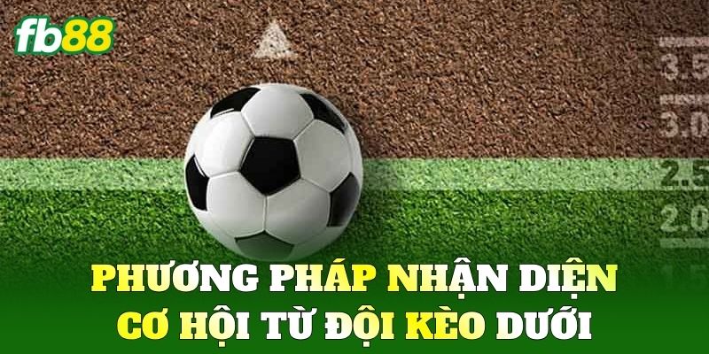 Phương pháp nhận diện cơ hội từ đội Kèo Dưới