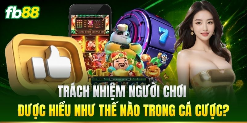 Trách nhiệm người chơi được hiểu như thế nào?