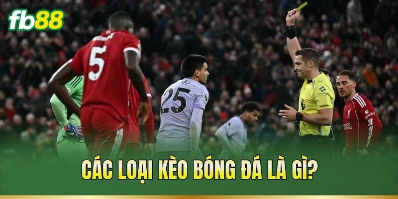 Các Loại Kèo Bóng Đá – Đặc Điểm Và Cách Đọc Tỷ Lệ Kèo 1 Các loại kèo bóng đá là gì?