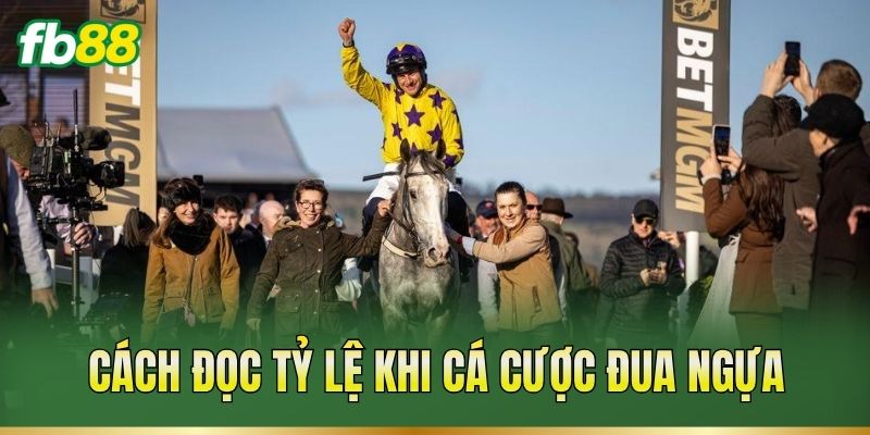 Cá Cược Đua Ngựa – Phân Tích Ngựa Đua Và Cách Đọc Kèo 2 Cách đọc tỷ lệ khi cá cược đua ngựa