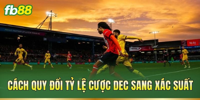 Cách quy đổi tỷ lệ cược Dec sang xác suất