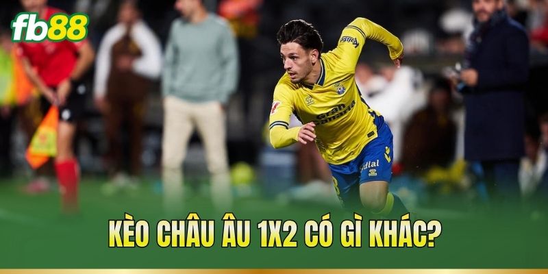 Các Loại Kèo Bóng Đá – Đặc Điểm Và Cách Đọc Tỷ Lệ Kèo 2 Kèo châu Âu 1X2 có gì khác?